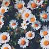 mileidyflores